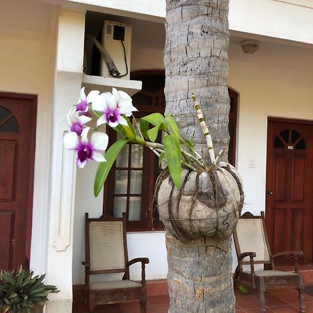 Hotel Lagoon Paradise Negombo Eksteriør bilde