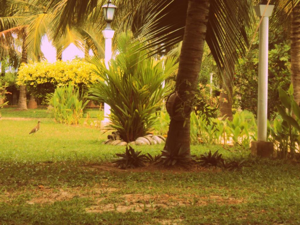 Hotel Lagoon Paradise Negombo Eksteriør bilde