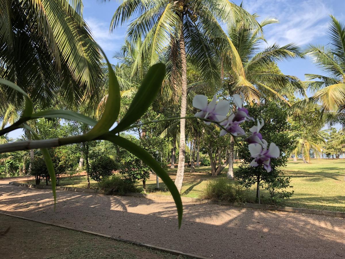 Hotel Lagoon Paradise Negombo Eksteriør bilde