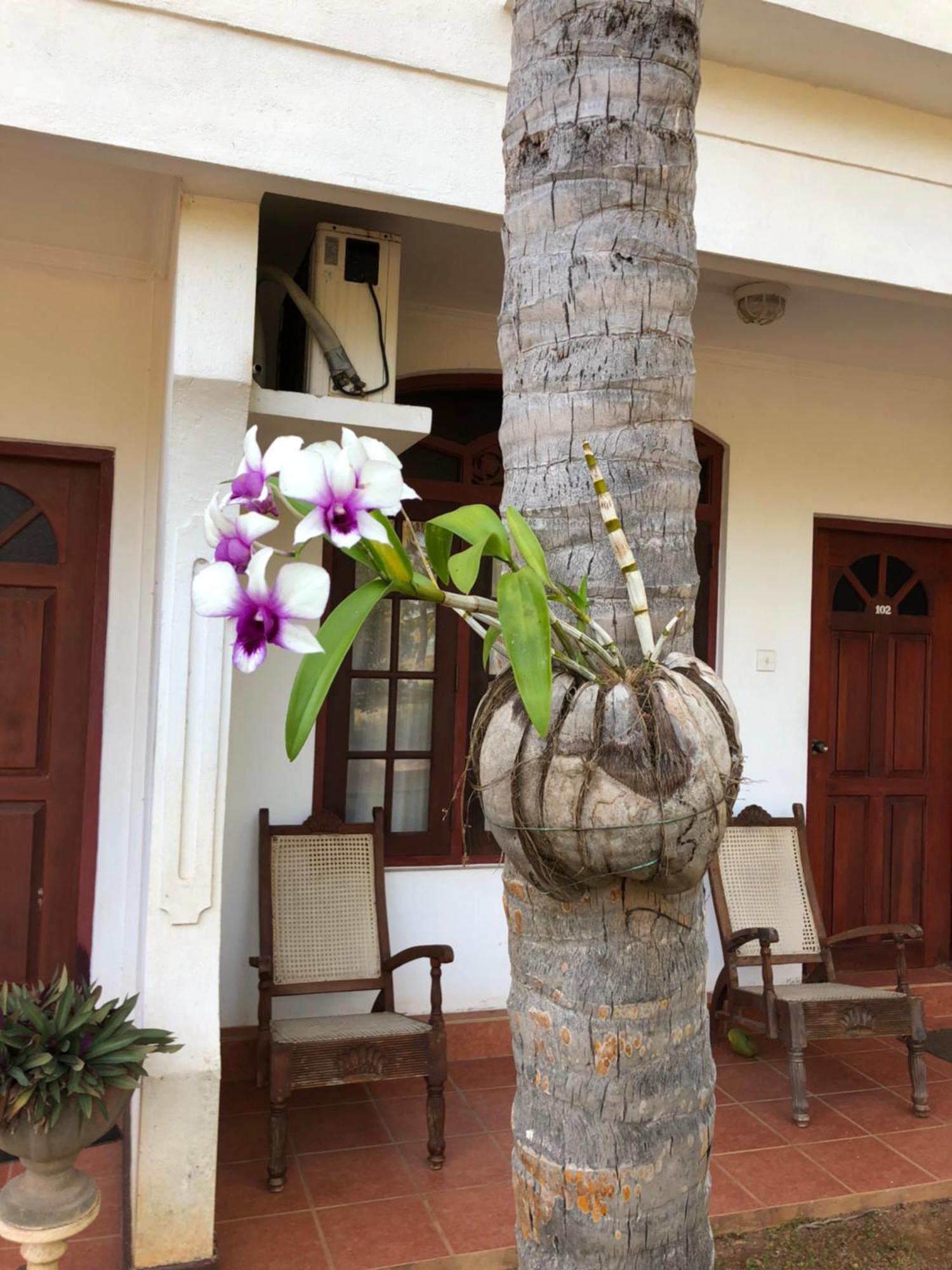 Hotel Lagoon Paradise Negombo Eksteriør bilde