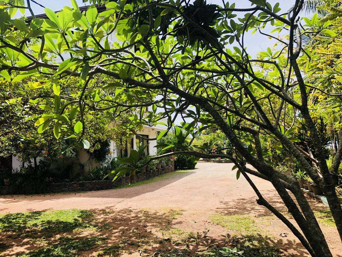 Hotel Lagoon Paradise Negombo Eksteriør bilde