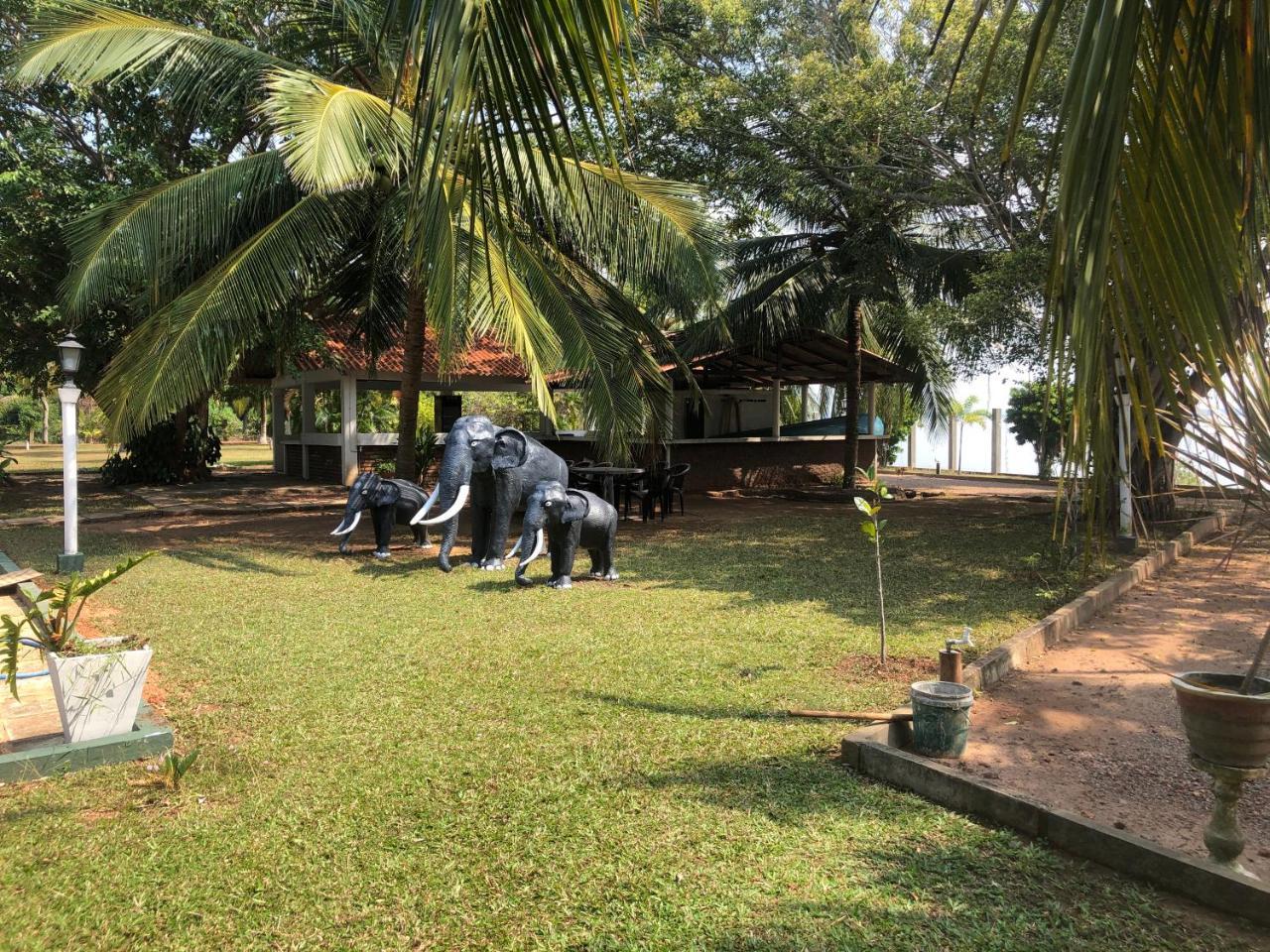 Hotel Lagoon Paradise Negombo Eksteriør bilde